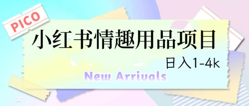 （6555期）最新小红书情趣用品项目，日入1-4k九峰网创-分享创业资讯-最新网络创业项目-分享最新赚钱项目九峰网创